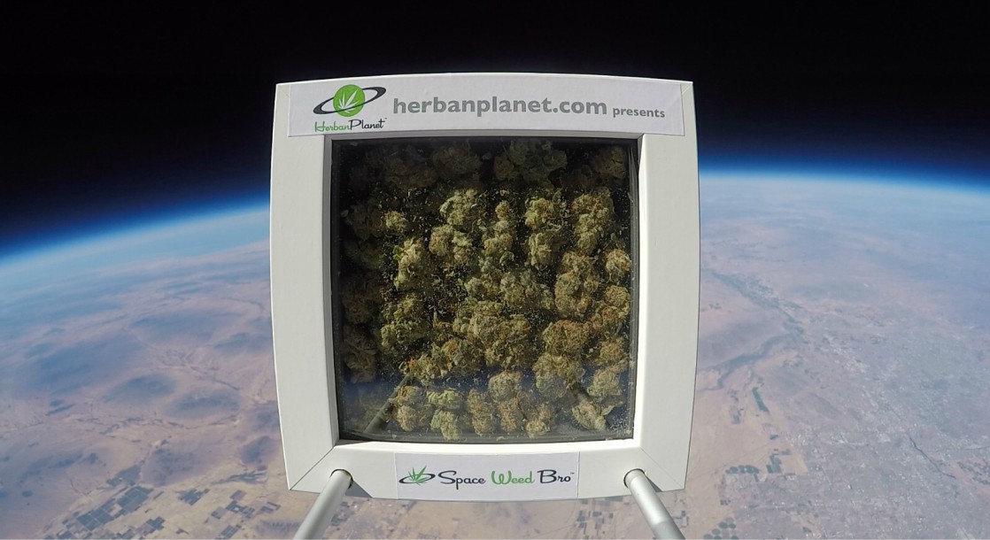 “Space Weed Bro” Is the Cannabis Industry’s First Commercially Sold Intergalactic Bud
