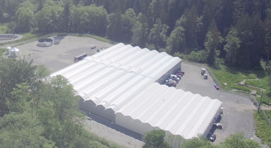 New Canadian Cannabis Greenhouse Incorporates Best Elements of Indoor and Outdoor Growing