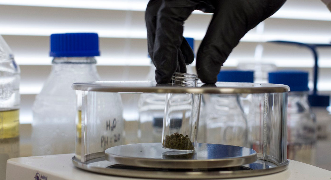 California Proposes New Regulations to Lay Out Rules for Medical Marijuana Testing