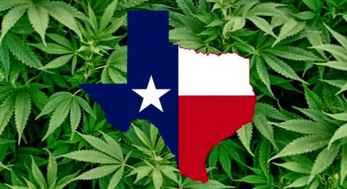 Texas Doctors Could Lose Their Licenses For Prescribing Medical Marijuana to Patients