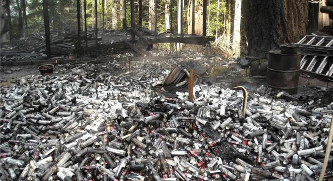 Toxic Waste From Illegal Marijuana Farms Is Polluting California Forests
