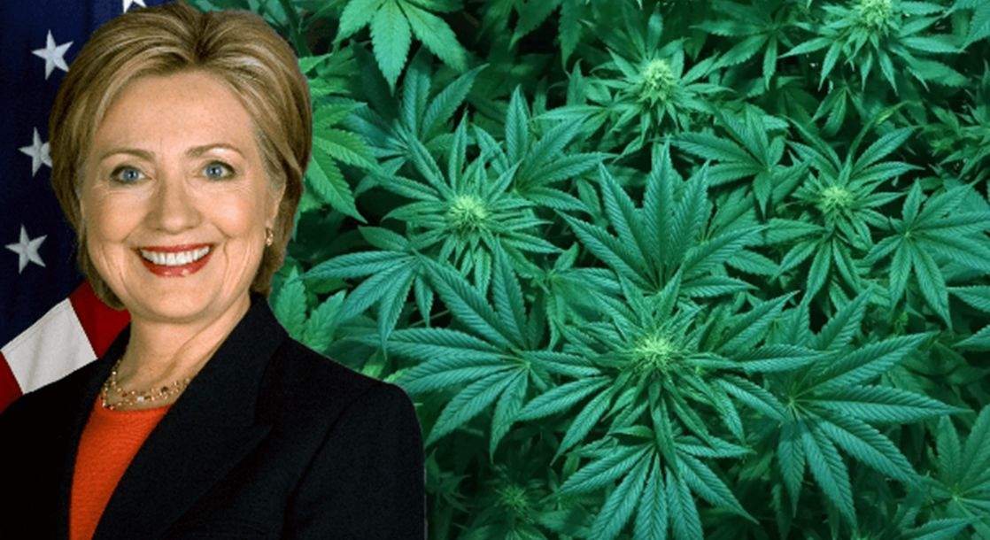 Trump Trolls Target Clinton’s Questionable Cannabis Stance in Satirical #StopThePot Campaign