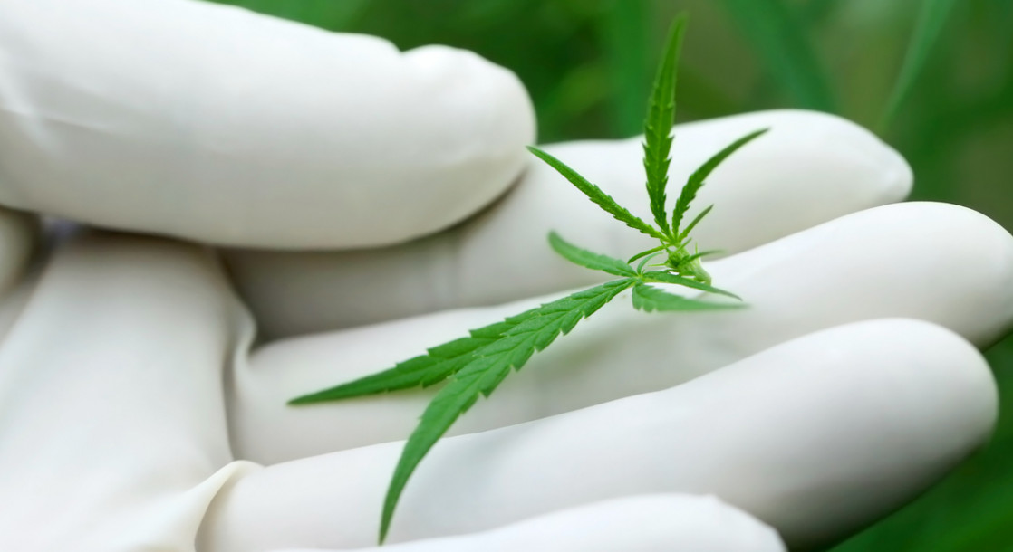 Scientific Community Pushes Back Against V.A.’s Latest “Worthless” Medical Marijuana Studies