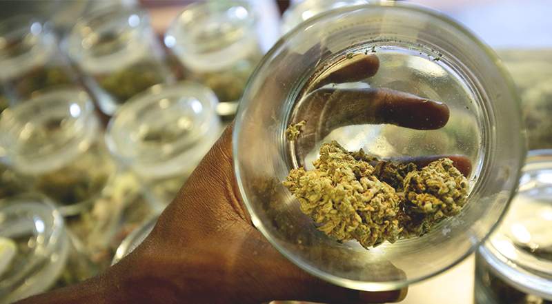 Michigan’s Recreational Marijuana Legalization Effort Is Dead