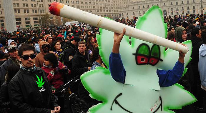 Medical Marijuana and the Green Rush Are Changing Chile