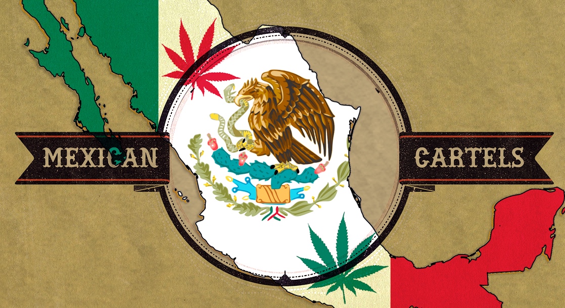 Will Medical Marijuana Remedy Mexico’s Cartel Woes?
