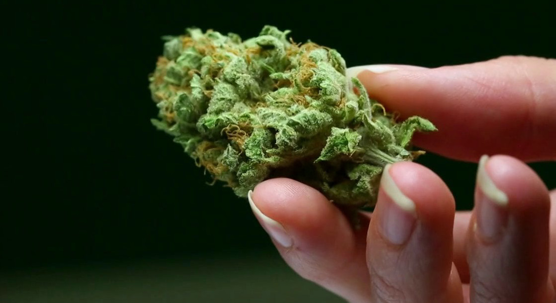 Washington Legislators Propose New Bills to Expand Marijuana Laws