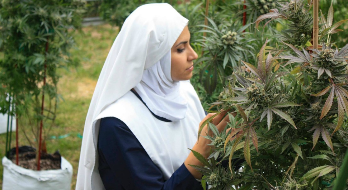California’s Central Valley “Weed Nuns” Grow Cannabis to Help Women Build Independent Lives