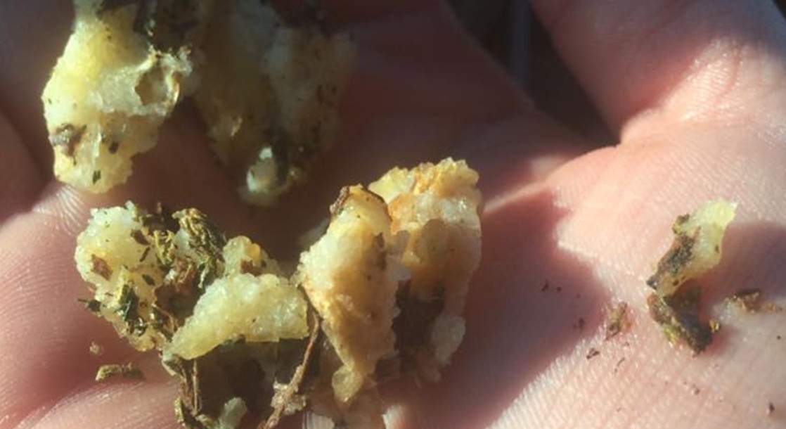 Mom Finds Weed in Daughter’s Wendy’s French Fries