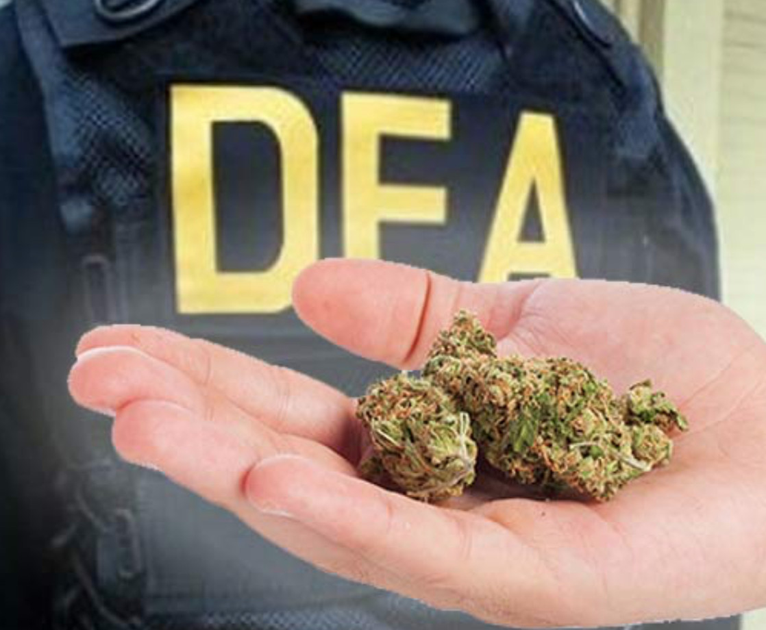 DEA Removes Marijuana Propaganda From Website