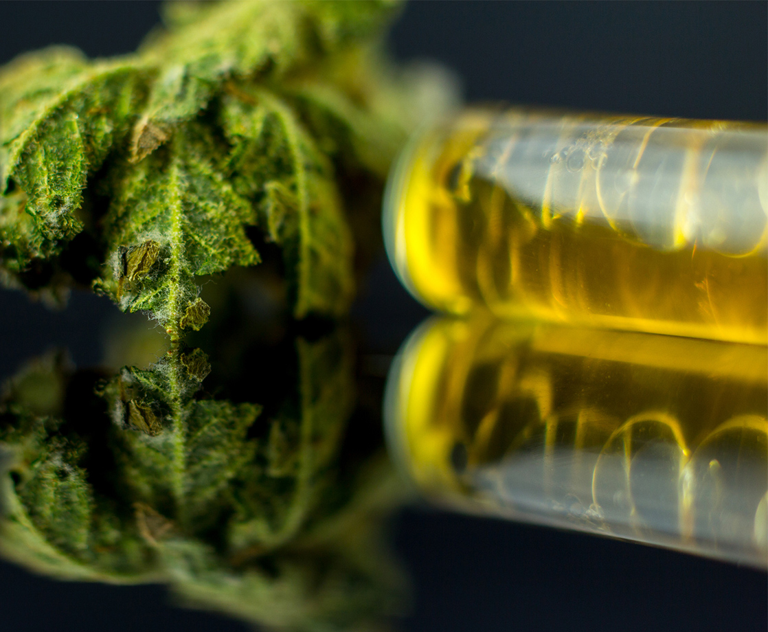 Is THC a More Effective Treatment for Epilepsy Than CBD? New Study Suggests So