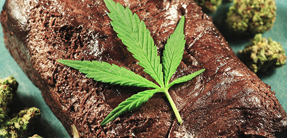 The History of Cannabis Brownies