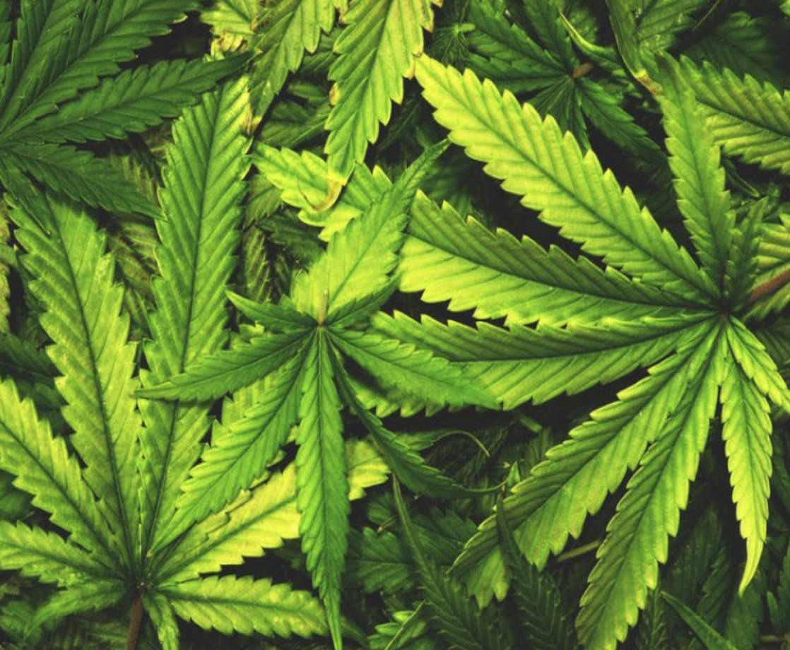 Wake Up Congress: California Just Legalized Marijuana