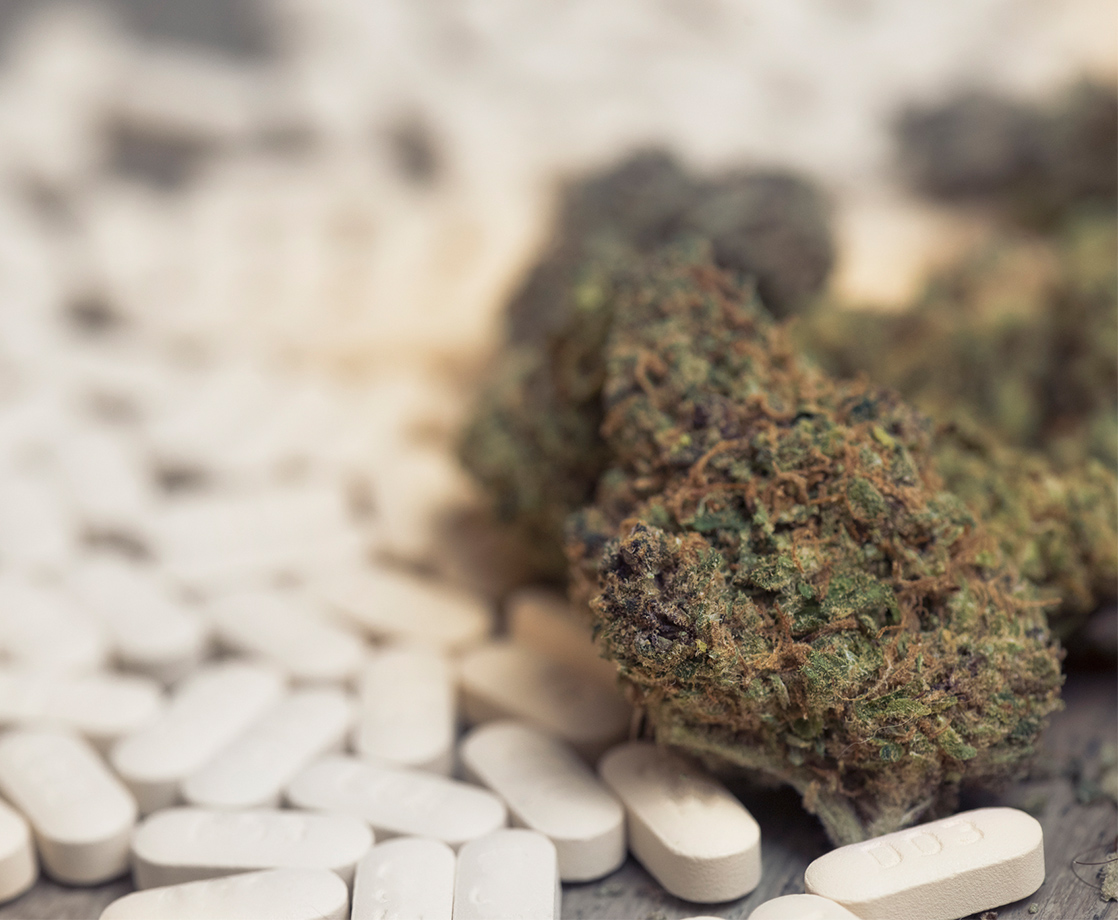 As Legalization Approaches, Canada Looks Towards Cannabis to Combat Opioid Use