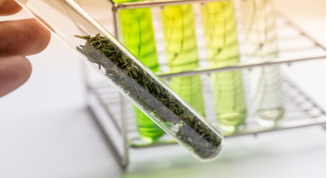 Alaska and Nevada Are Cracking Down on Cannabis Testing Laboratories