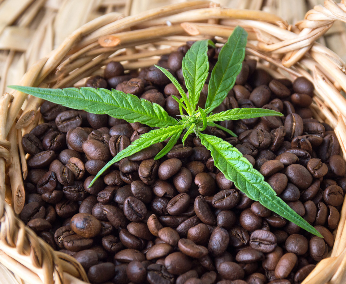 The Best Way to Catch Up with an Ex Is Over a Pot of Cannabis Coffee