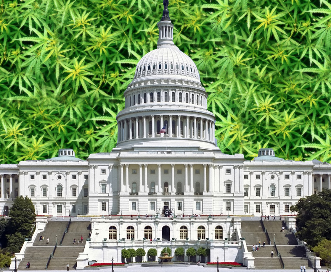 Trump Administration May Inspire Congress to Legalize Marijuana