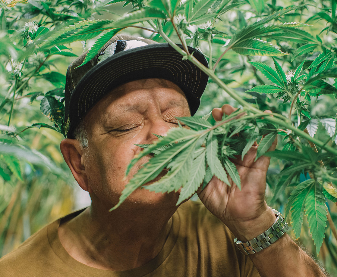 Pot Icon Cheech Marin Opens Up About His “Private Stash”