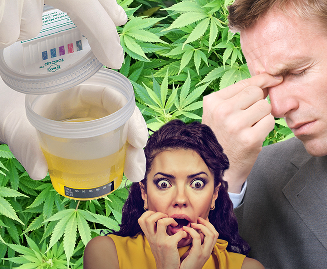 How to Pass a Drug Test Without Having to Quit Smoking Weed
