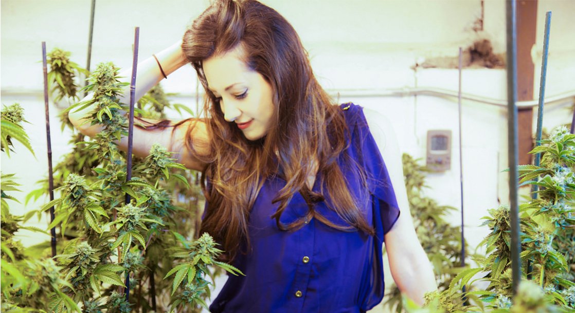 Catching Up with Dr. Dina, the Inspiration for Nancy Botwin on “Weeds”