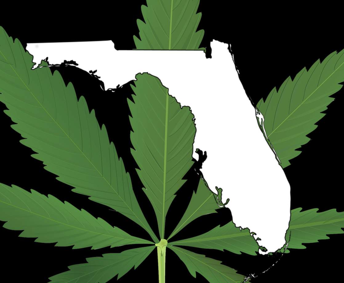 Florida Becomes First State in the South to Legalize Medical Marijuana