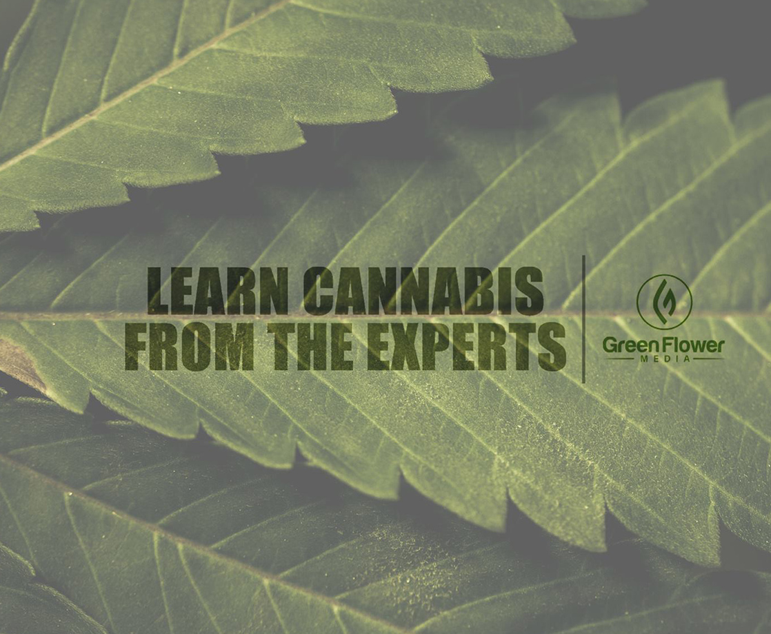 Green Flower Media Aims to Be the Go-To Education Platform for All Things Cannabis