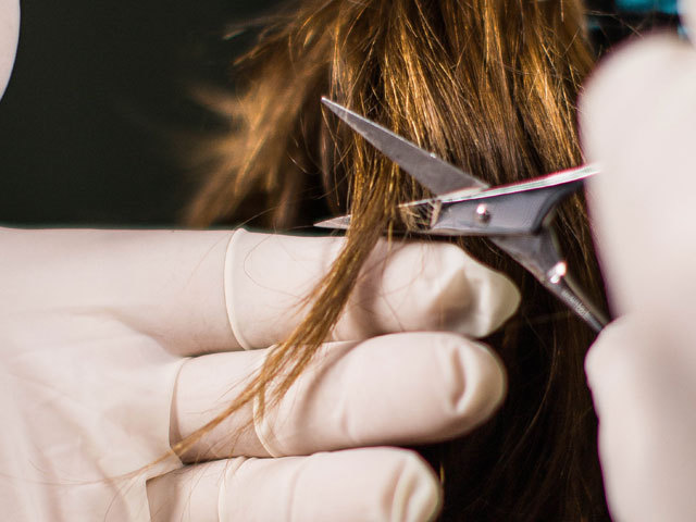 New Study Finds Cannabinoids in Hair Testing Inaccurate