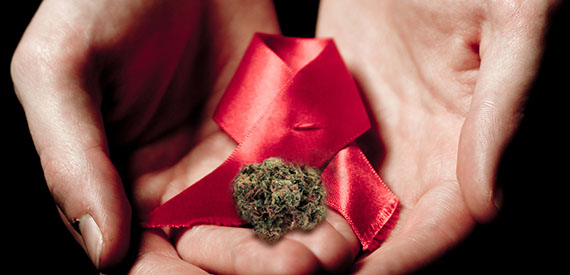 Can Cannabis Help Cure AIDS?