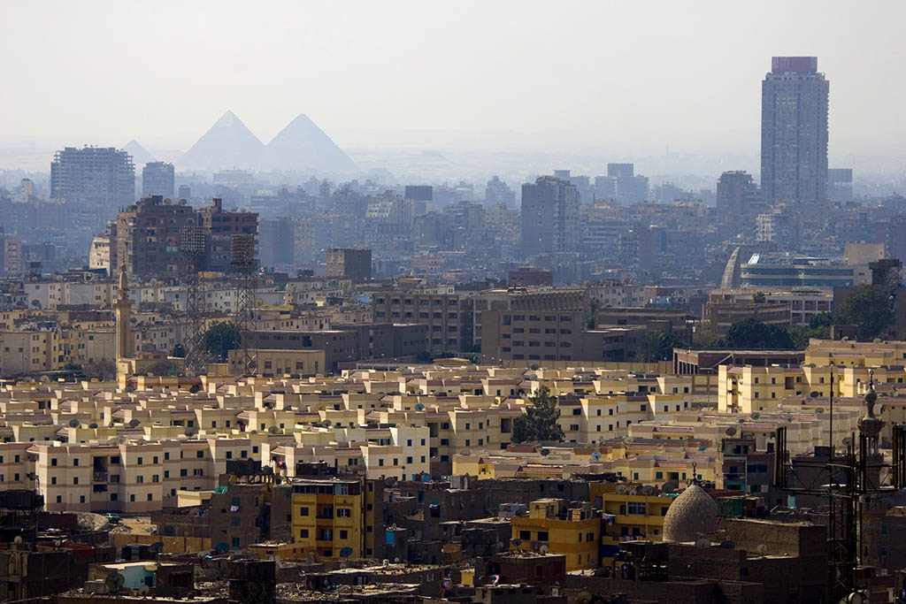 Egypt Calls for Legalization