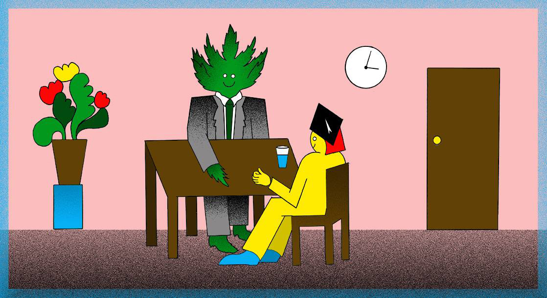 Graduajana: How the Cannabis Industry Is Recruiting Young People and College Grads