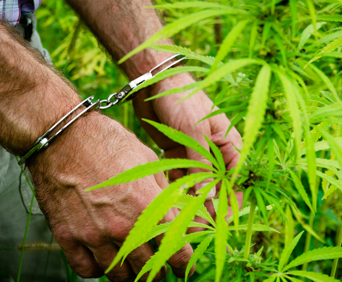 Jackson, Mississippi Votes to Decriminalize Cannabis