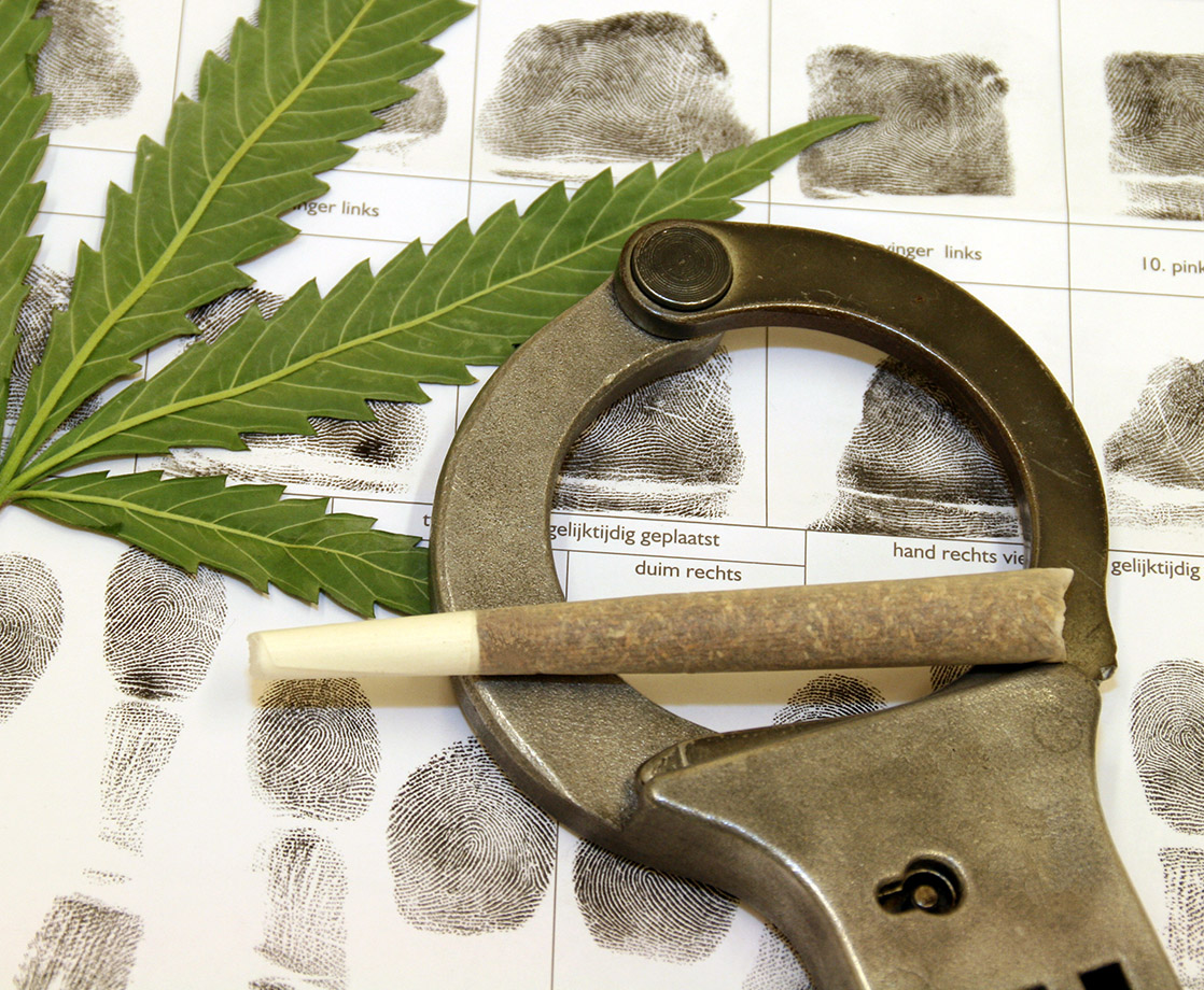 Mother Knows Best: Can I Call the Police if Someone Steals My Personal Cannabis Plants?