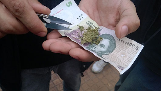 Crying for Cannabis in Argentina