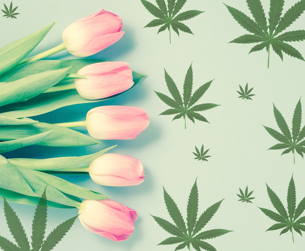 MERRY JANE’s 2017 Mother’s Day Marijuana Gift Guide