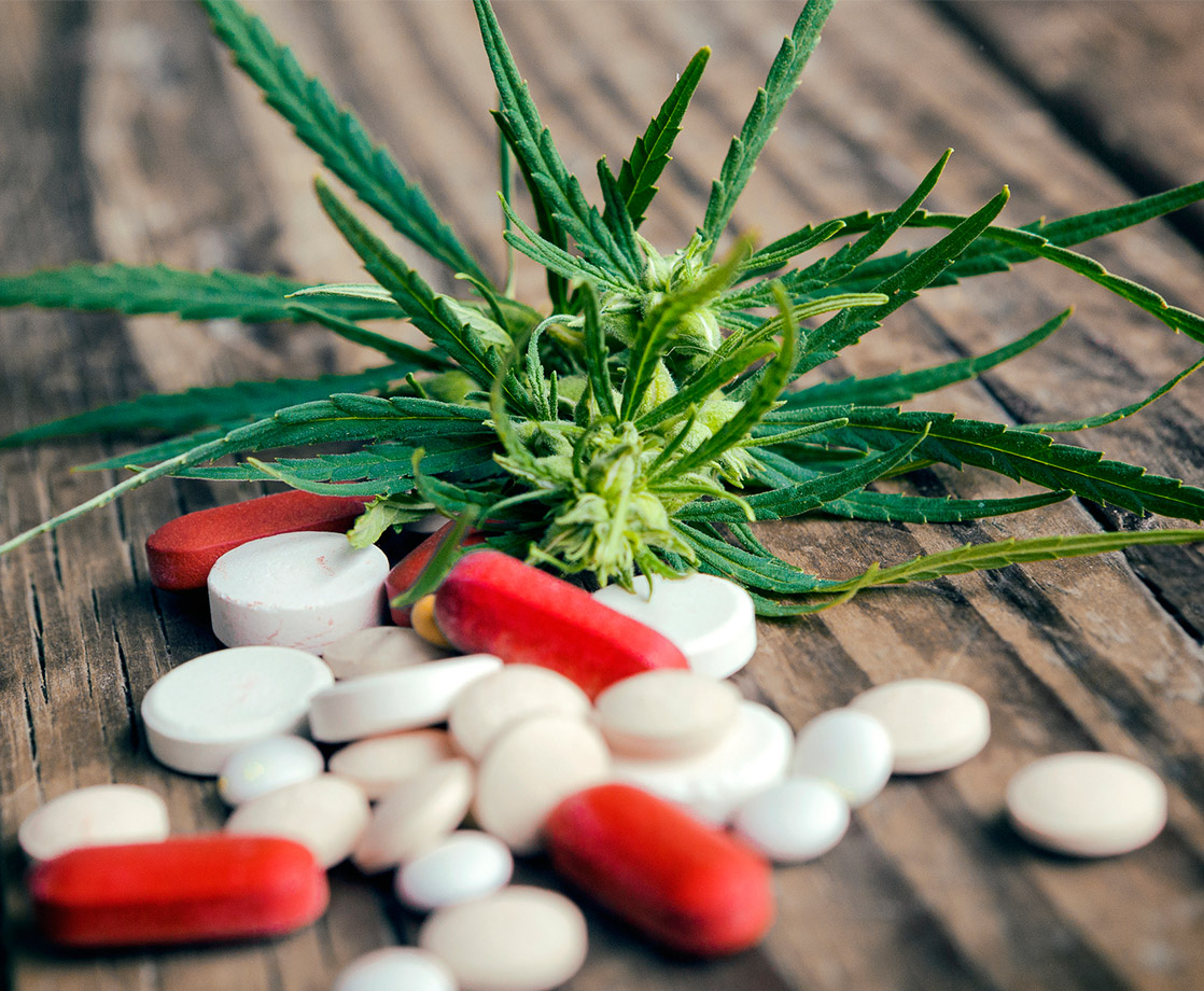 New York State Legislators Propose Bill to Combat Opioid Use with Medical Cannabis
