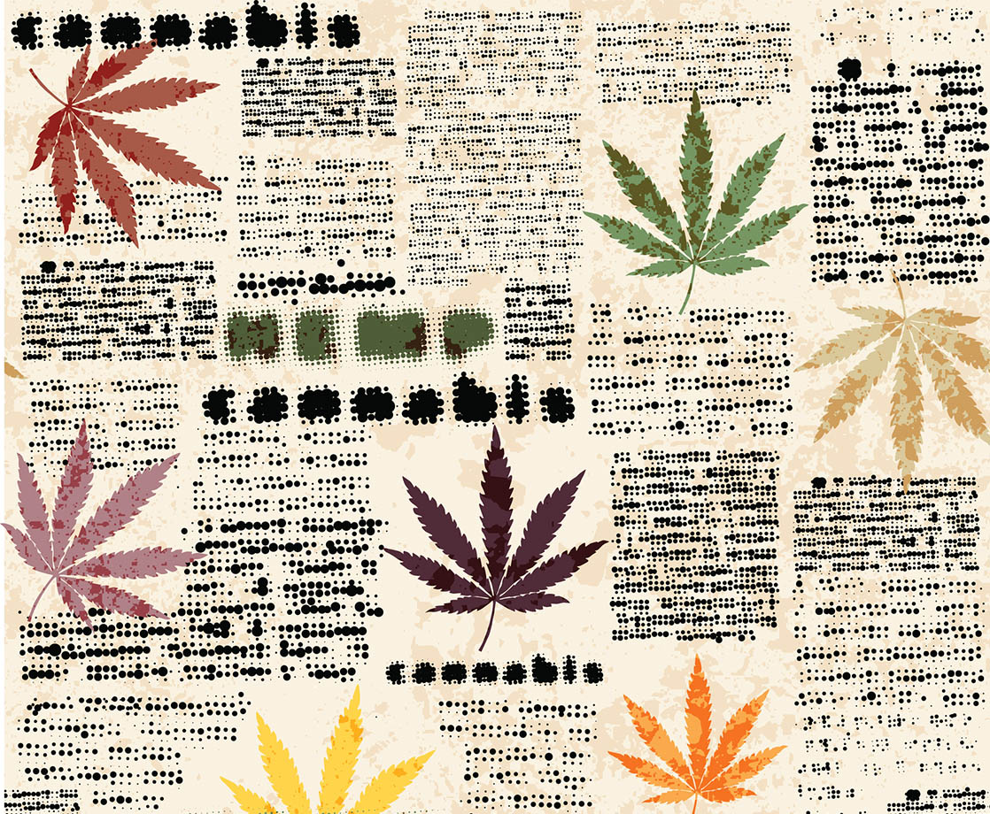 Illinois High School Newspaper Confiscated for Publishing Story on Cannabis
