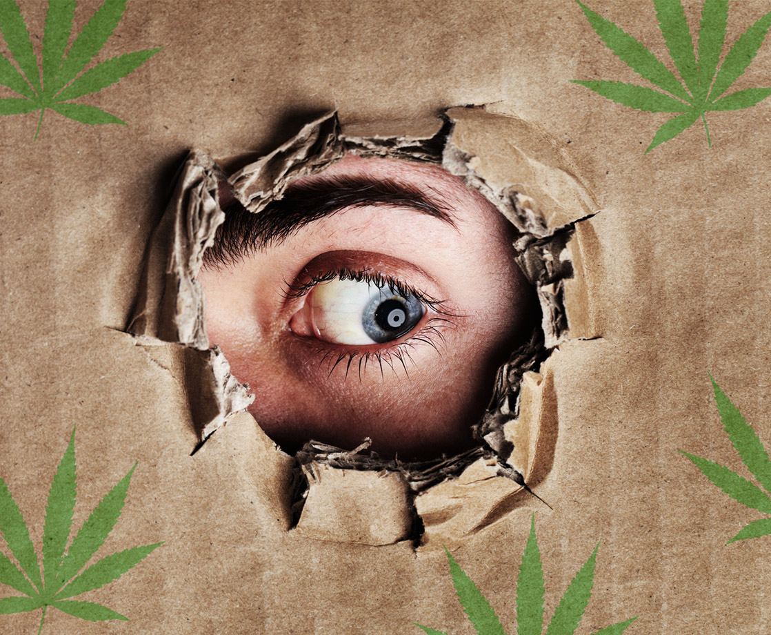 Paranoid Pot: 8 Weed Strains Rumored to Make You Lose Your Mind