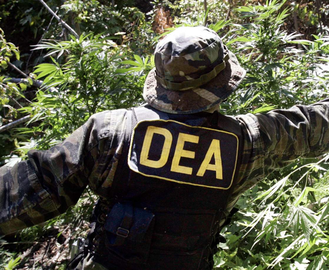 Pressure Mounts for DEA to Admit Marijuana Has Medicinal Value