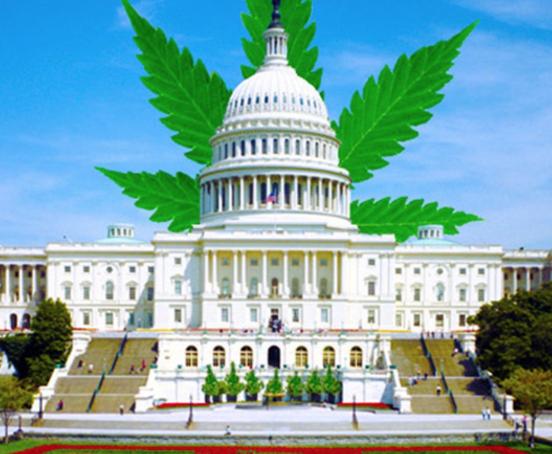 Virginia Representative Tom Garrett Pushes to Legalize Marijuana Nationwide