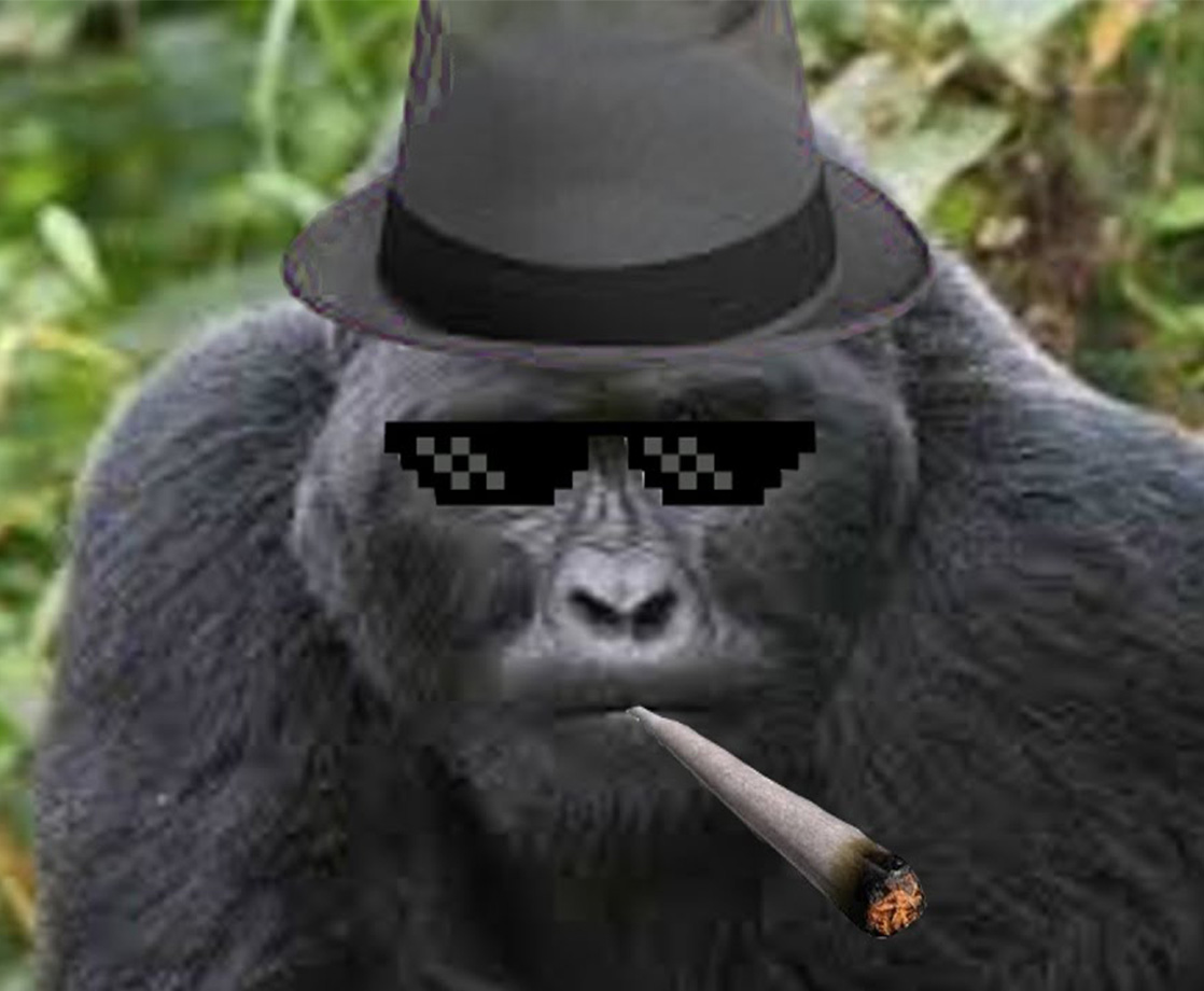 Pothead(s) of the Week: Remembering Harambe’s Death and a Forgotten Hunter S. Thompson Story