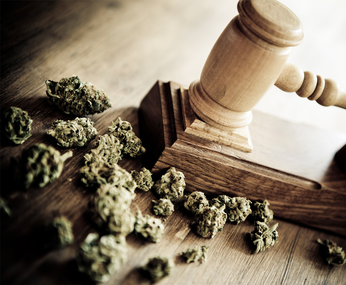 Federal Court Rules That Cannabis Protections Do Not Apply to Federal Land
