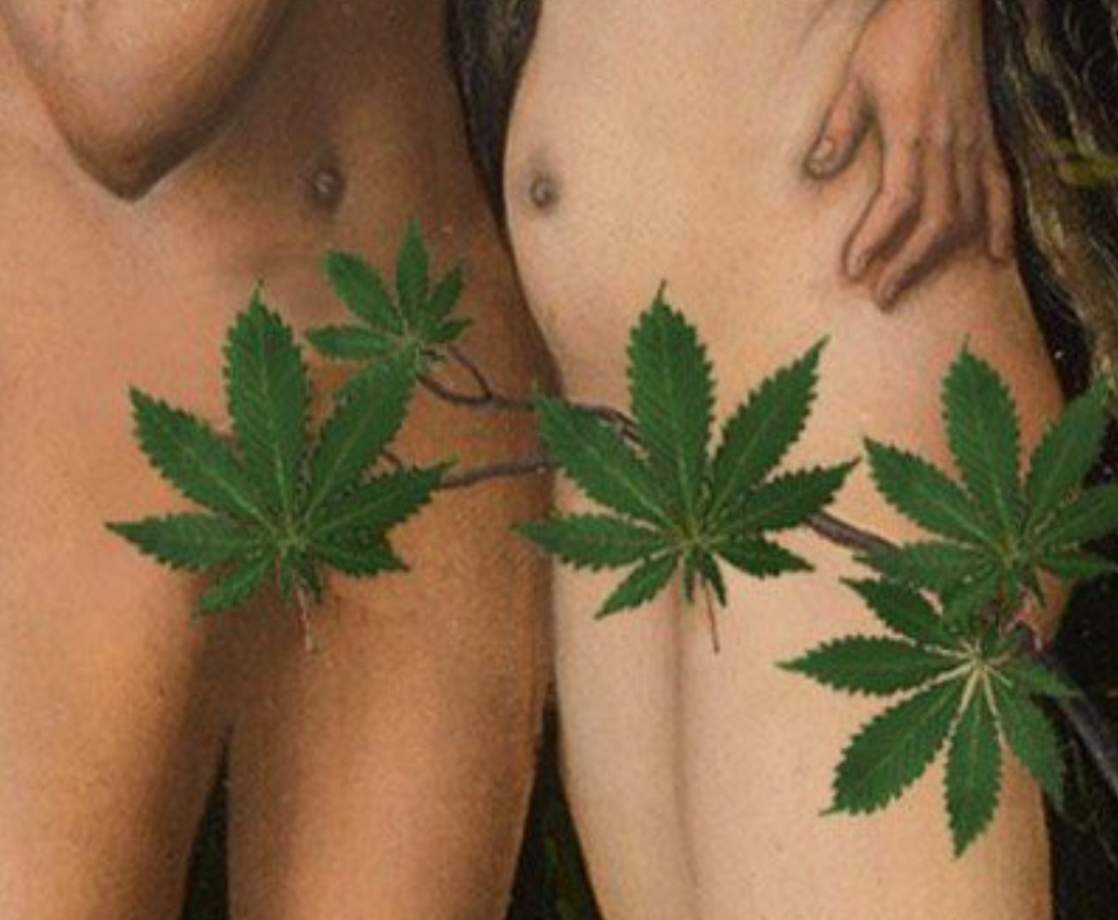 Marijuana Found to Treat Sexual Dysfunctions