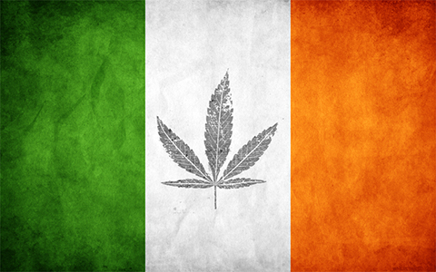 Ireland to Decriminalize Cannabis