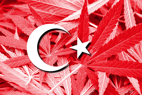 The Shocking Reality of Toking in Turkey