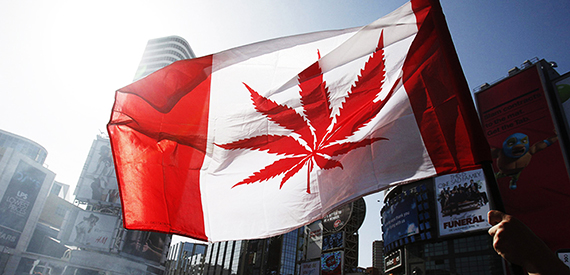 5 Ways Canada is Improving Its Cannabis Industry