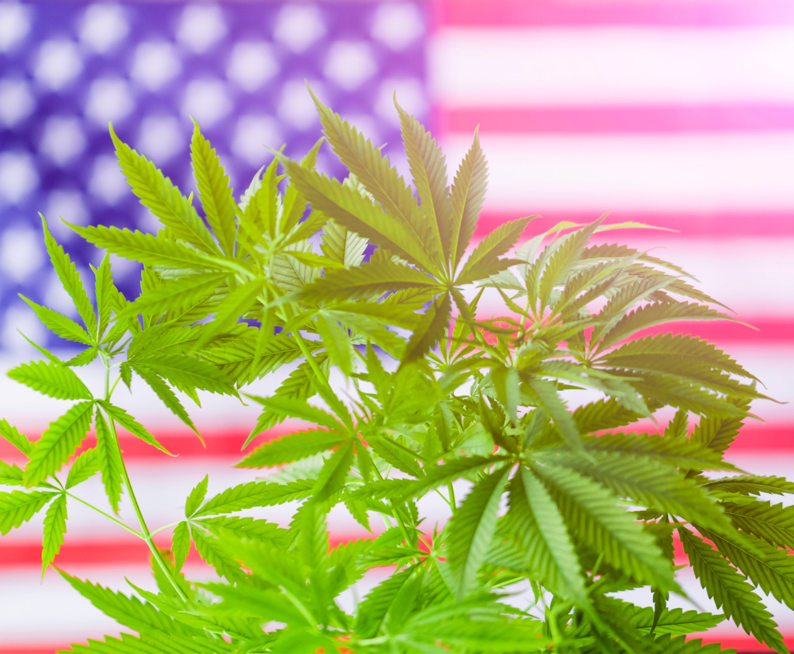 Over Two-Thirds of Americans Support Cannabis Legalization, New Poll Finds