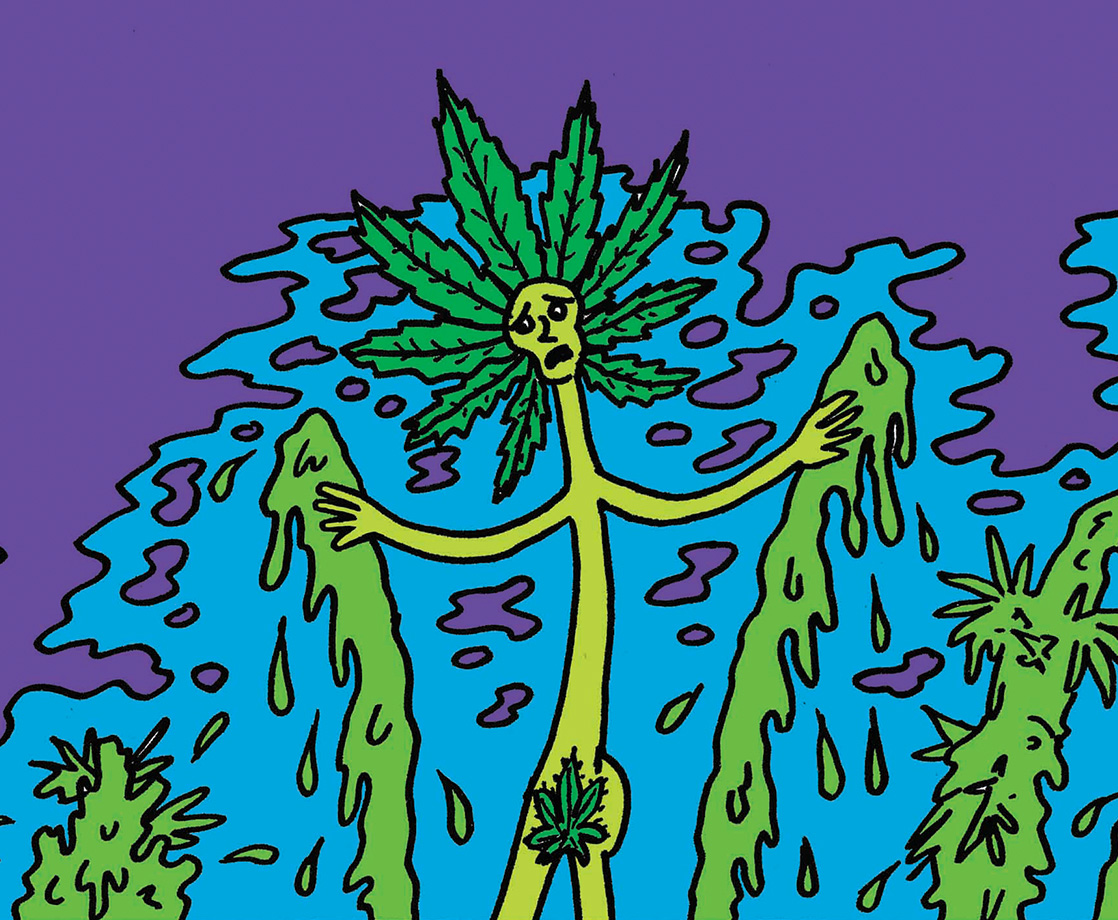 “The High Life of Weed Dude,” a New Comic by the Legendary Mike Diana