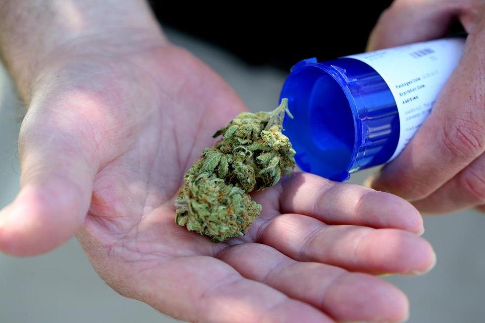 Medical Marijuana and the Fight Against Opioid Addiction