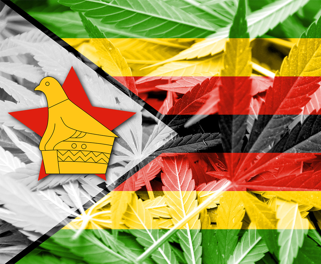 Zimbabwe Legalizes Cannabis Cultivation for Medical and Research Purposes