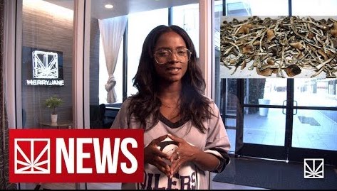 Synthetic Cannabinoids | Florida Cuts Down On Minor Possession | Microdosing | MERRY JANE NEWS